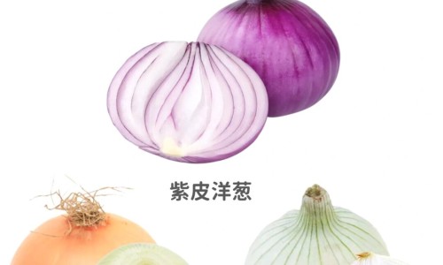 蔬菜营养密度排行榜-蔬菜营养ppt网 - 蔬菜营养价值最高的是什么菜,蔬菜营养PPt
