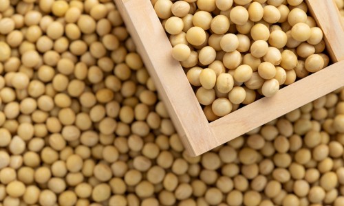 蔬菜营养成分表100克-蔬菜营养ppt网 - 蔬菜营养价值最高的是什么菜,蔬菜营养PPt